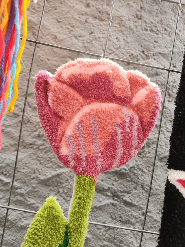 Tulipe